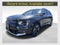 2023 Kia Niro EV Wave