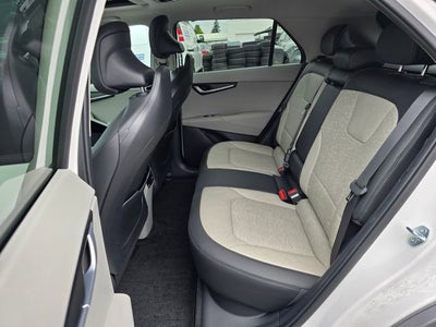 2024 Kia Niro EV Wave