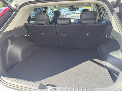2023 Kia Niro EV Wave